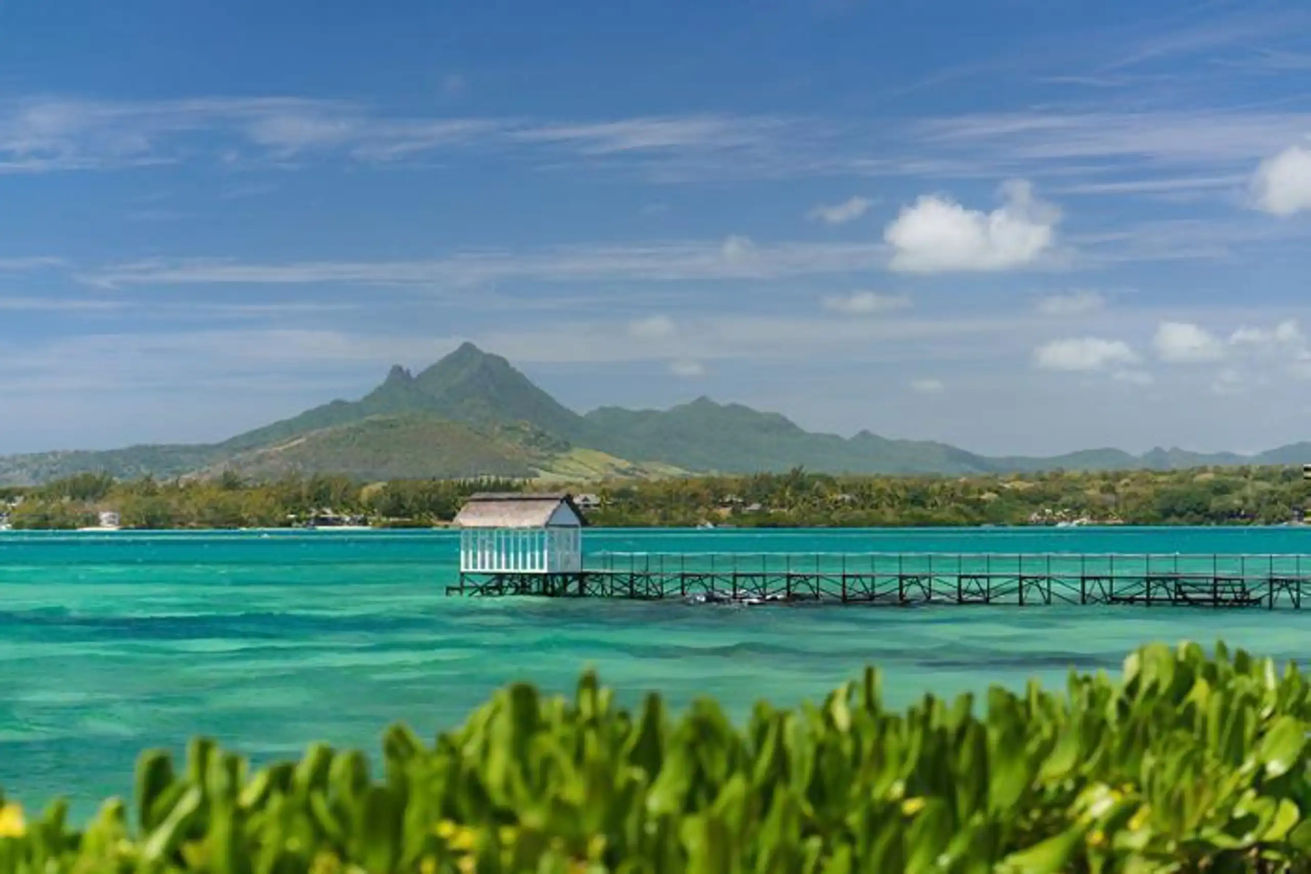  Plus Tropical Attitude (Adult Only) in IOI / Mauritius, image_3