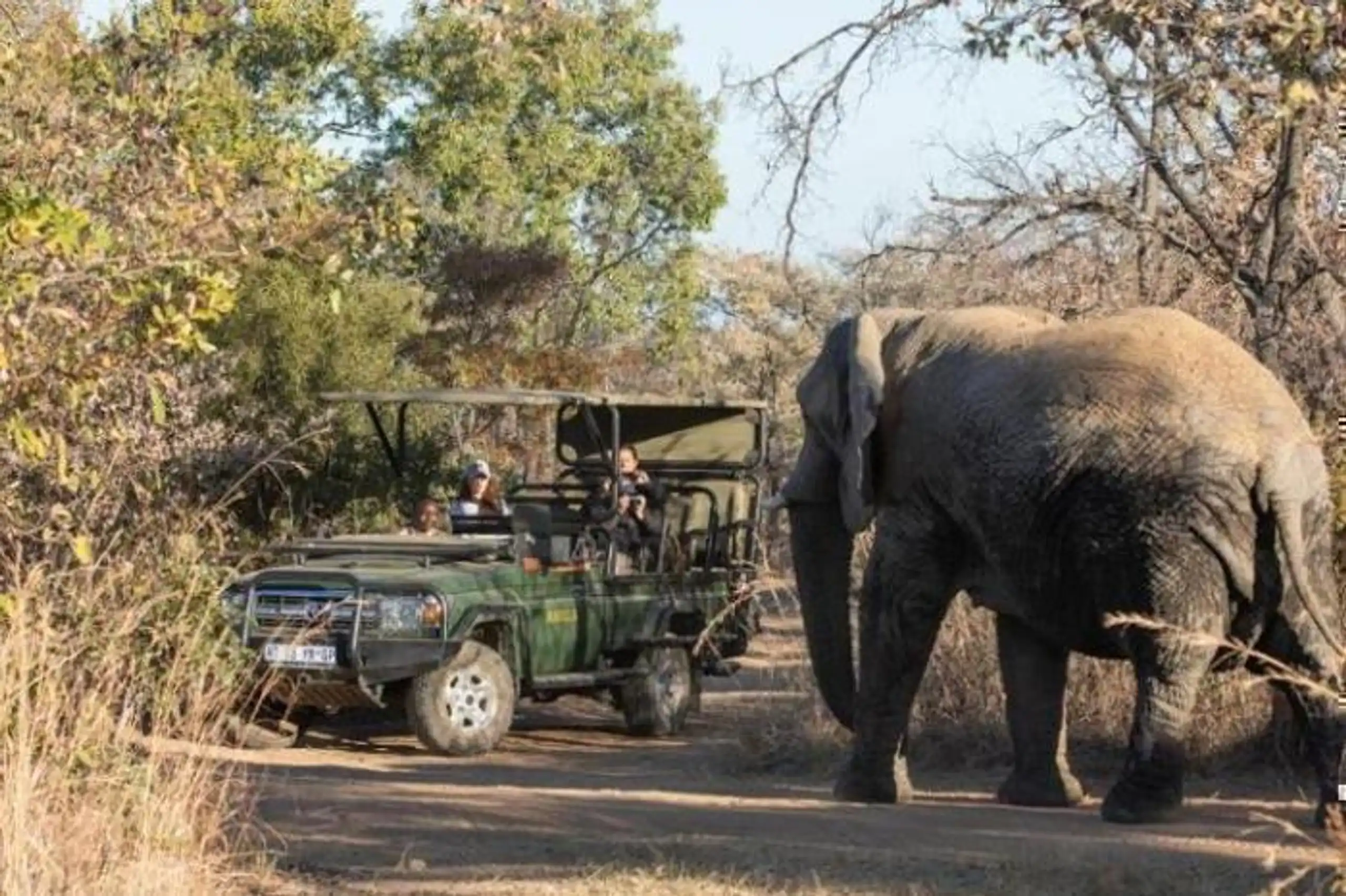 Mabula Game Lodge in South Africa / Limpopo, image_1