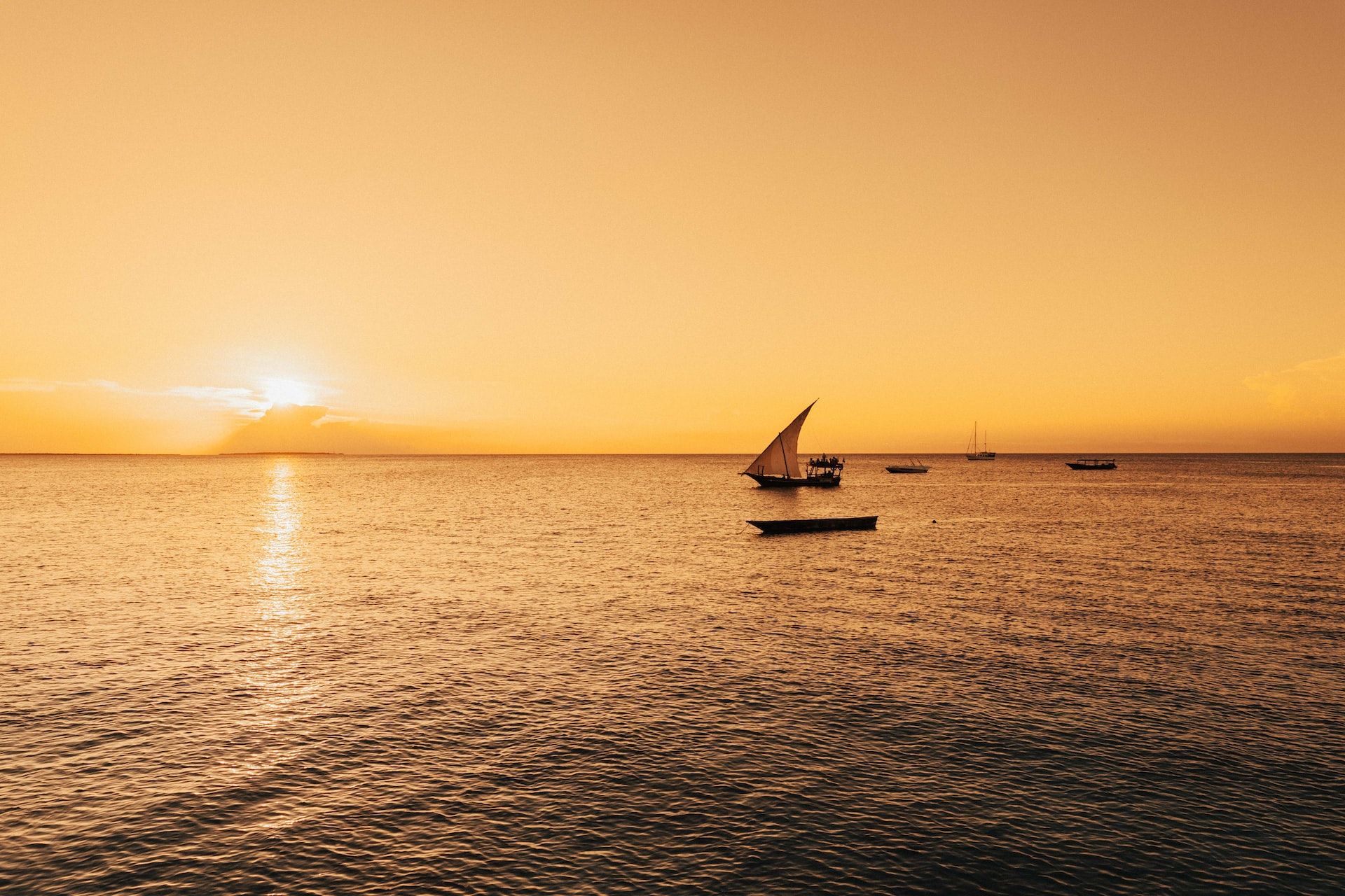 Dhow sailing across the ocean at sunset in Zanzibar