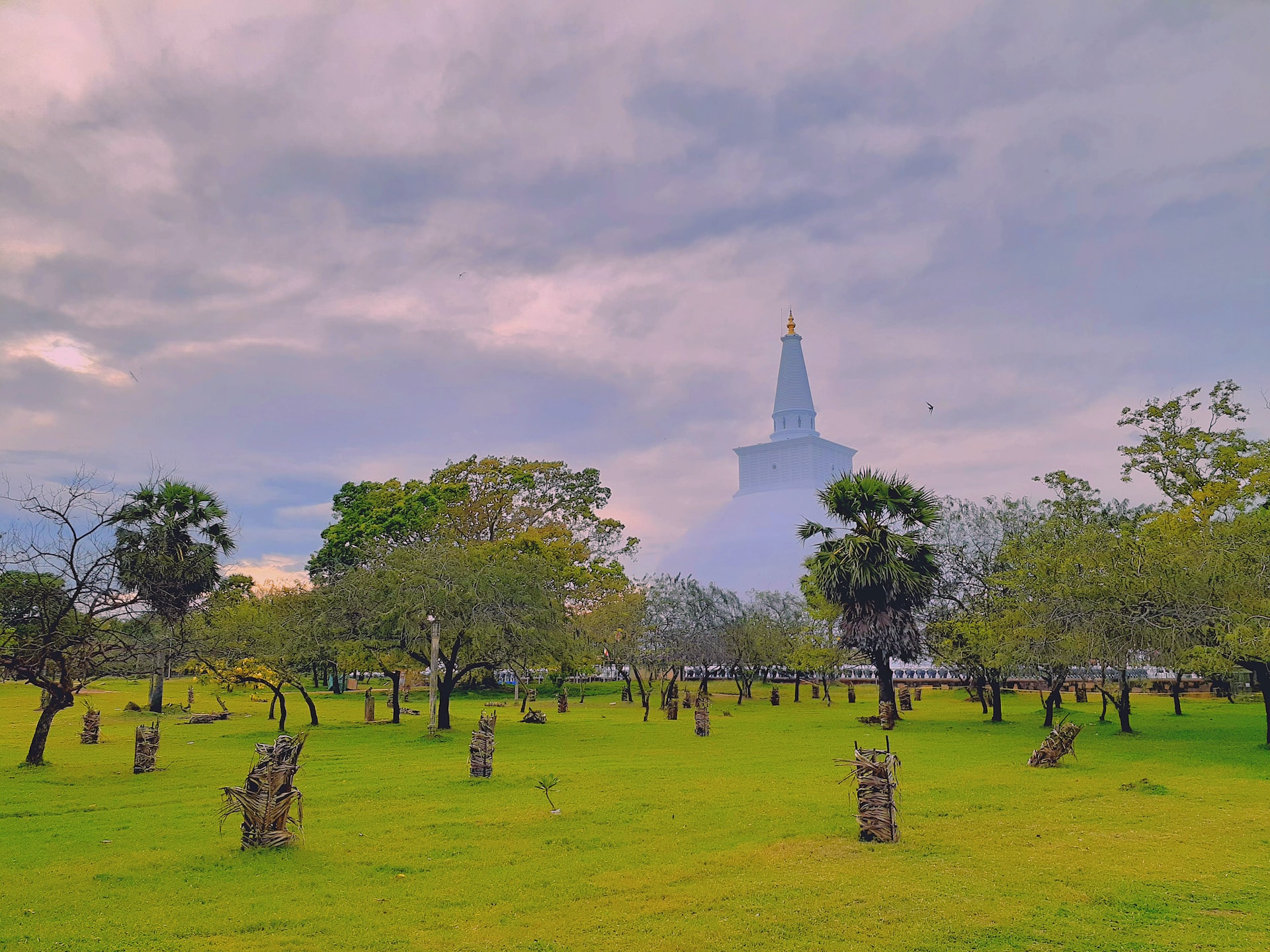 Green grass and trees in front of Ruwanwelisaya in Sri Lanka, with hazy purple sky