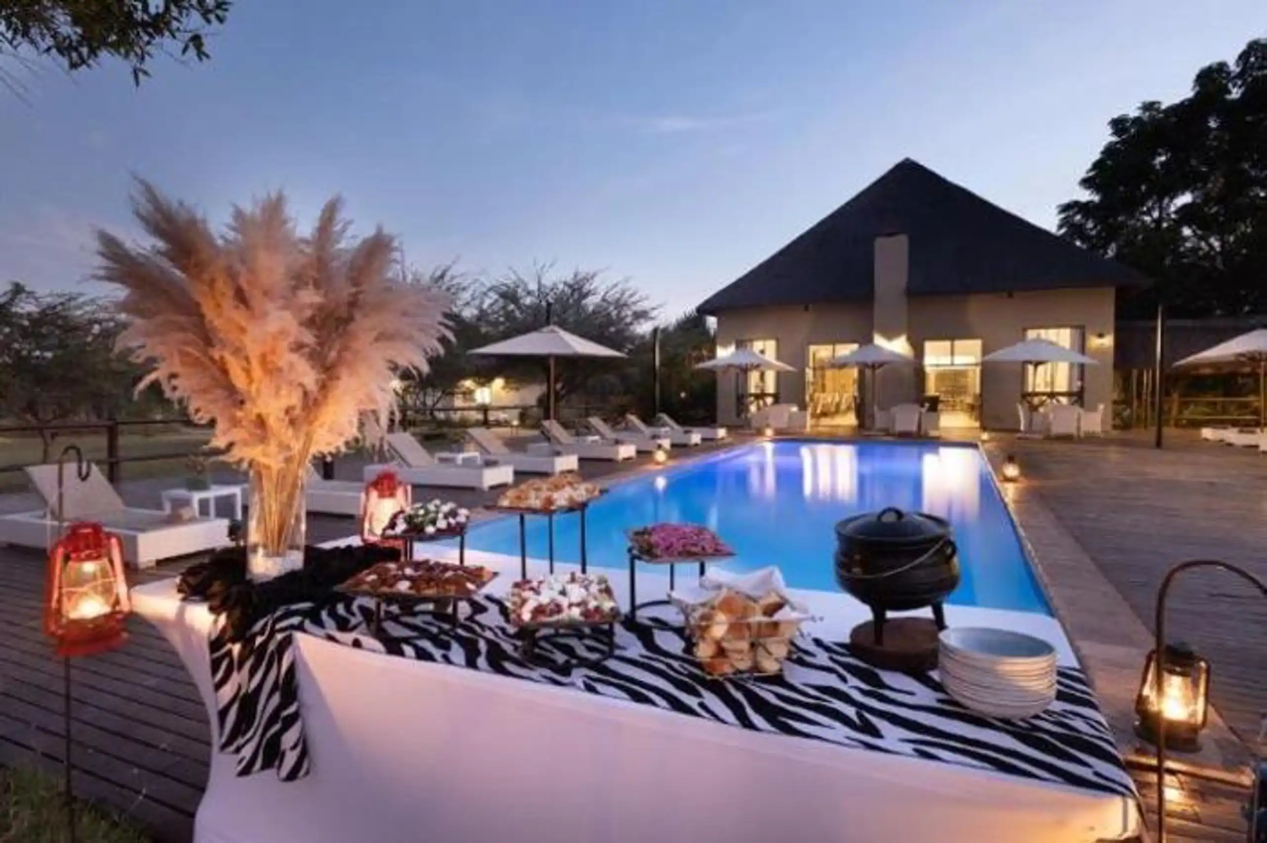 Safari Plains in South Africa / Limpopo, image_2