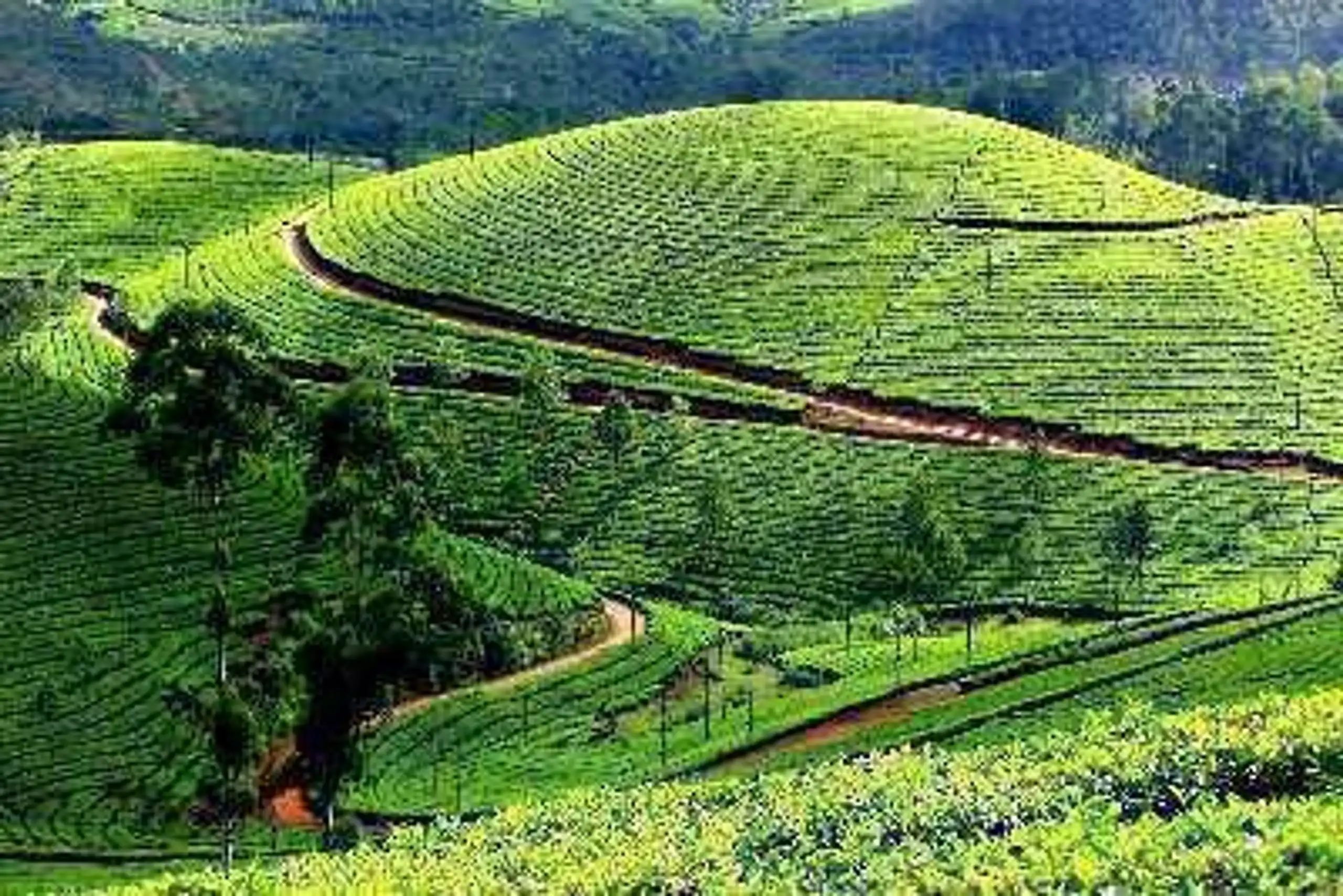 Discover Kerala, India: From Spice Ports to Serene Backwaters in Far East / India, image_3