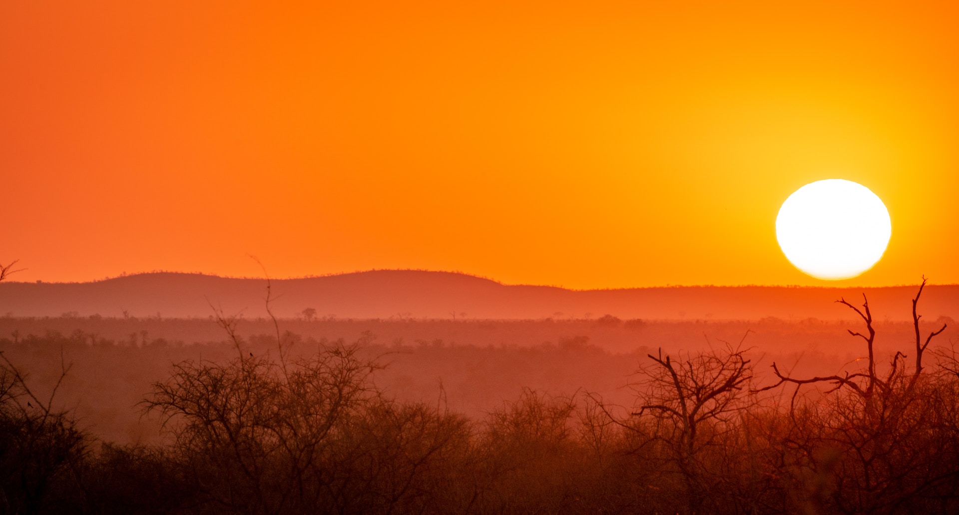 Orange sun setting over landscape