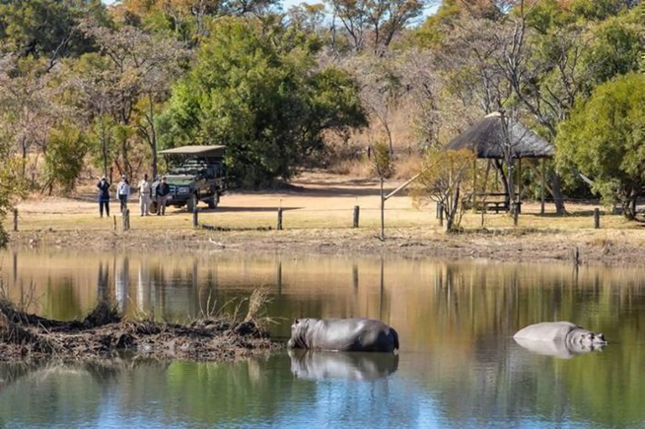 Mabula Game Lodge in South Africa / Limpopo, image_3