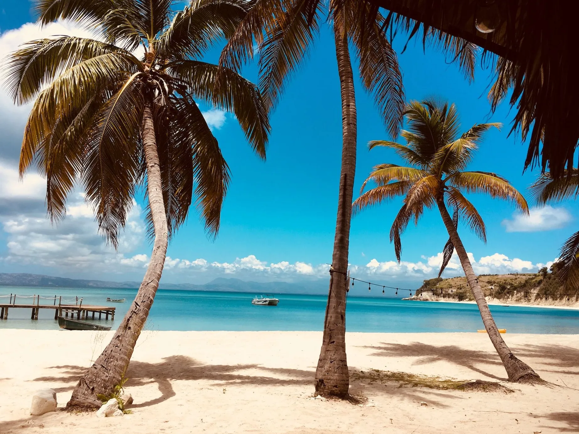 Caribbean beach with three palm trees and blue ocean