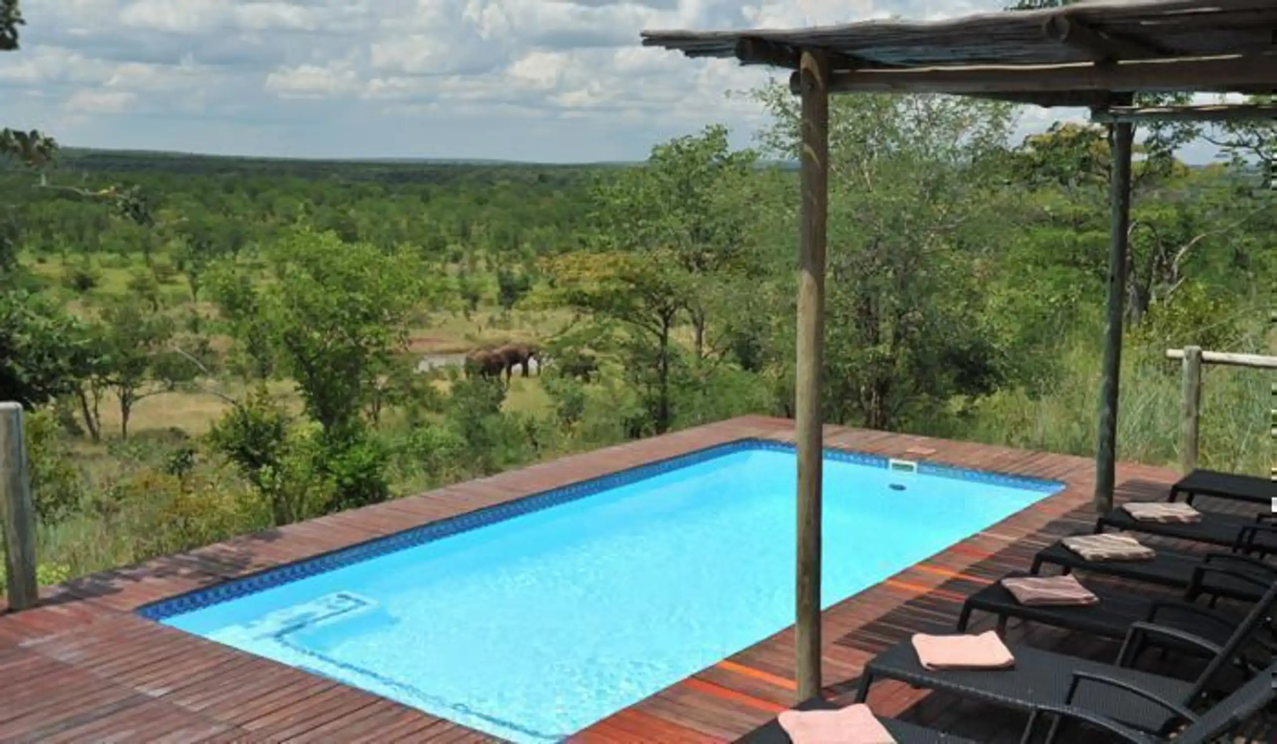 The Elephant Camp in Africa / Zimbabwe, image_2
